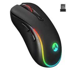 MOUSE