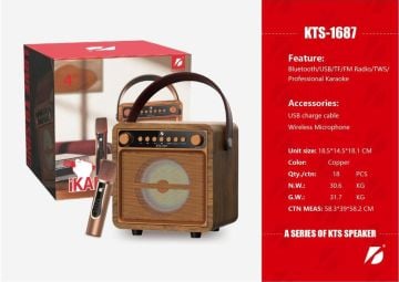KTS1687 4 İNÇ KARAOKE SET