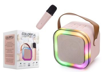 WR187 SUBZERO  MİNİ KARAOKE SET