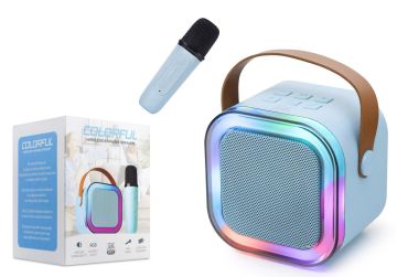 WR187 SUBZERO  MİNİ KARAOKE SET