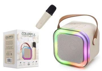 WR187 SUBZERO  MİNİ KARAOKE SET